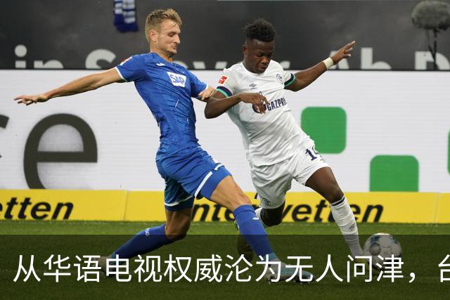 从华语电视权威沦为无人问津，台湾金钟奖，只剩仔仔和深V撑场面