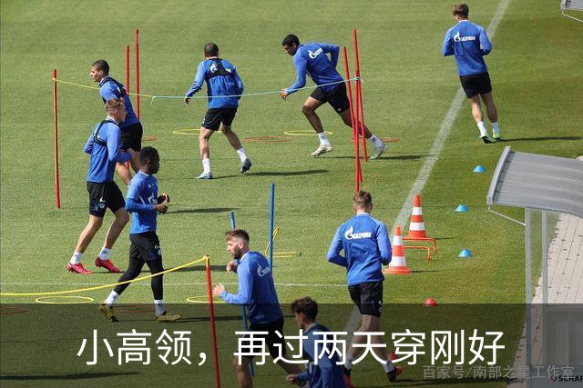 小高领，再过两天穿刚好